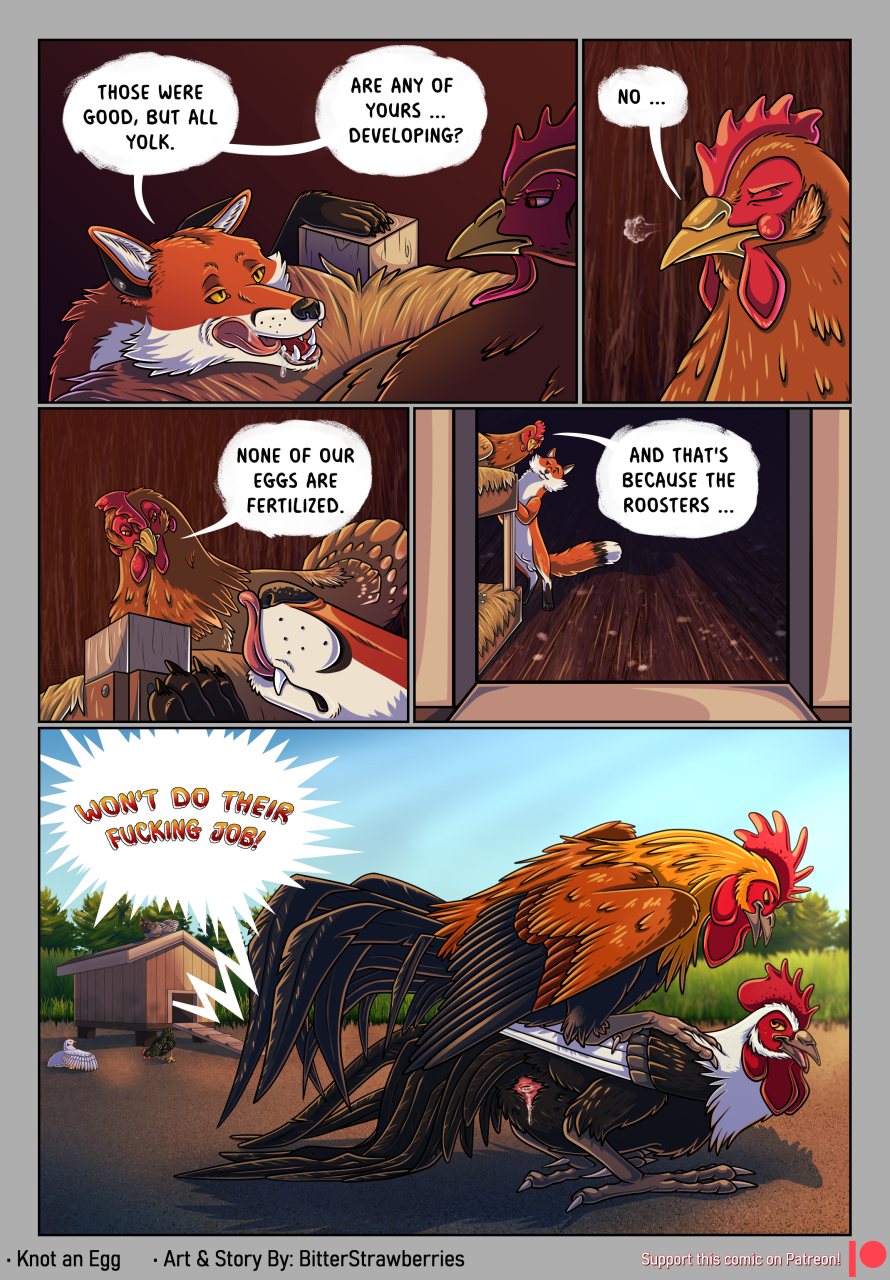 Rule 34 - Animal Genitalia Annoyed Avian Bird Bitterstrawberries Bodily  Fluids Canid Canine Chicken Chicken Coop Cloaca Comic Cum Digital Media  (artwork) Drooling Eye Contact Female Feral Fox Galliform Gallus (genus)  Genital