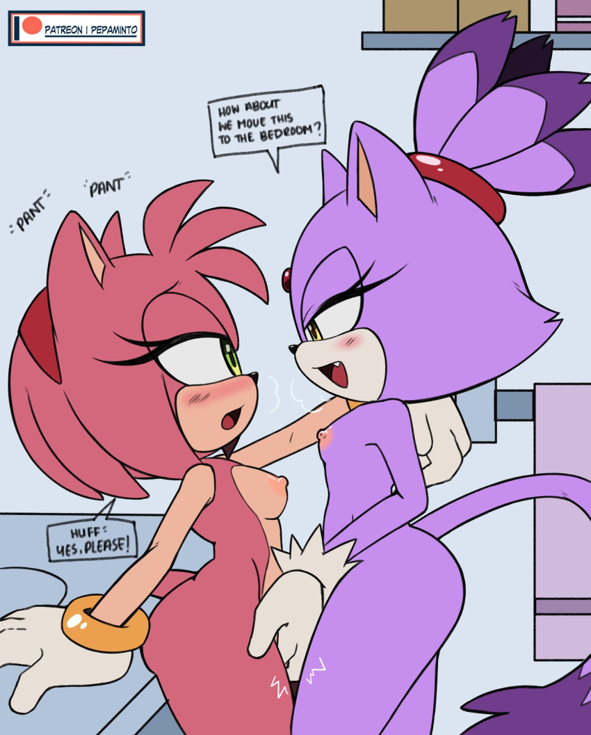 Rule Amy Rose Anthro Arched Back Areola Bathroom Bedroom Eyes