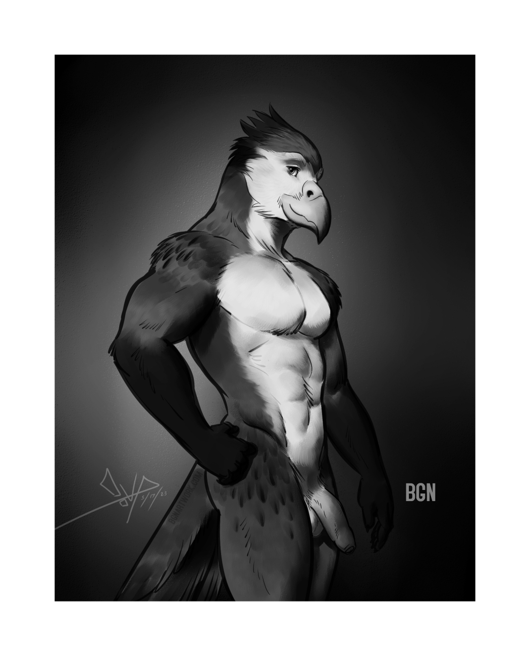 Rule Abs Anthro Avian Balls Beak Bgn Biceps Bird Feathers Foreskin