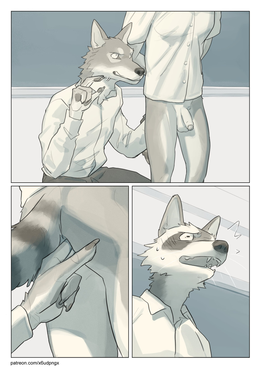 Rule Absurd Res Anal Anal Fingering Anthro Anthro On Anthro