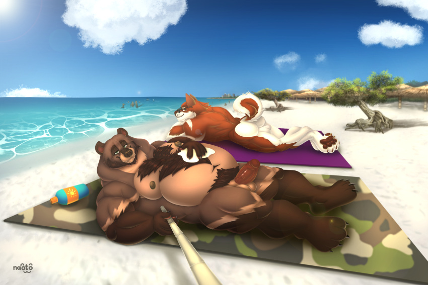 Rule 34 Alaskan Malamute Anthro Ass Ass Up Balls Beach Bear Cabana