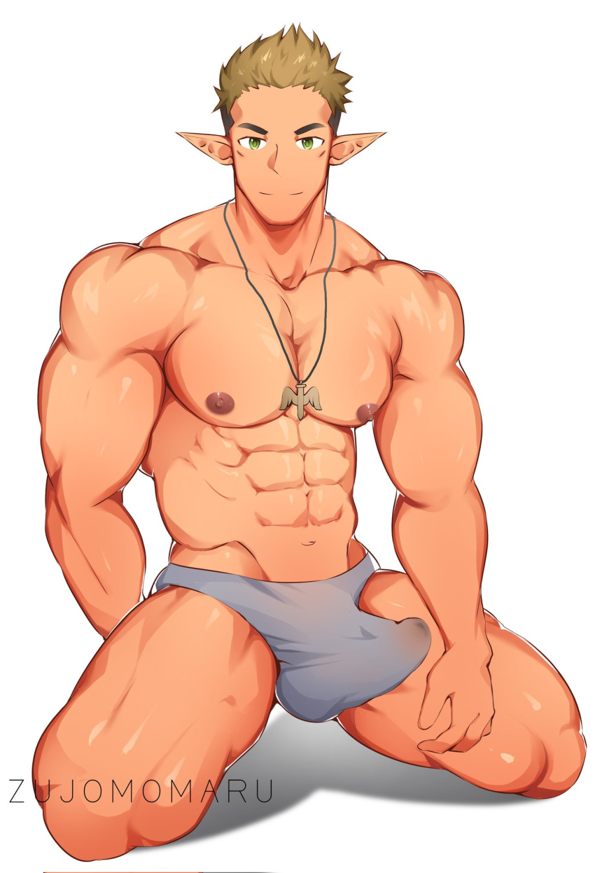 Rule 34 Abs Bara Bulge Chest Elf Elf Ears Elf Male Erect Penis