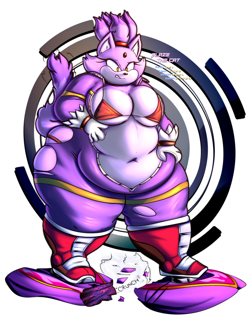 Rule 34 Bbw Blaze The Cat Broken Object Cat Tail Extreme Gear Fat Fat