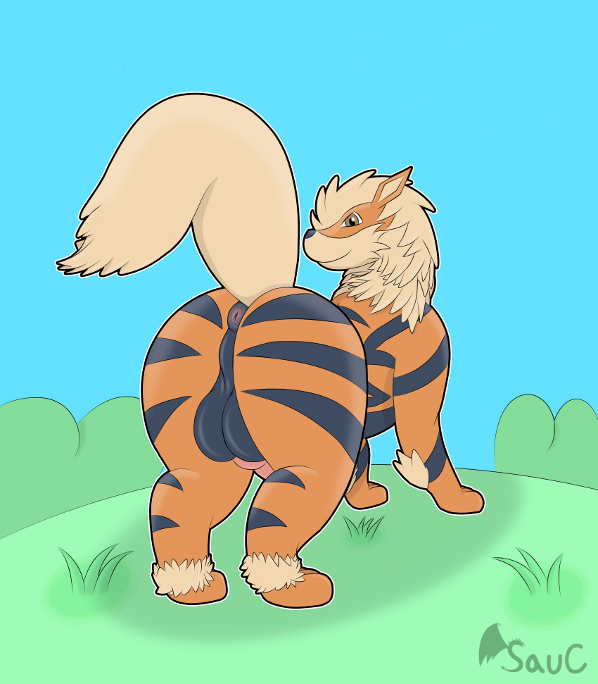 Rule 34 Absurd Res Anus Arcanine Ass Backsack Balls Big Butt Brown