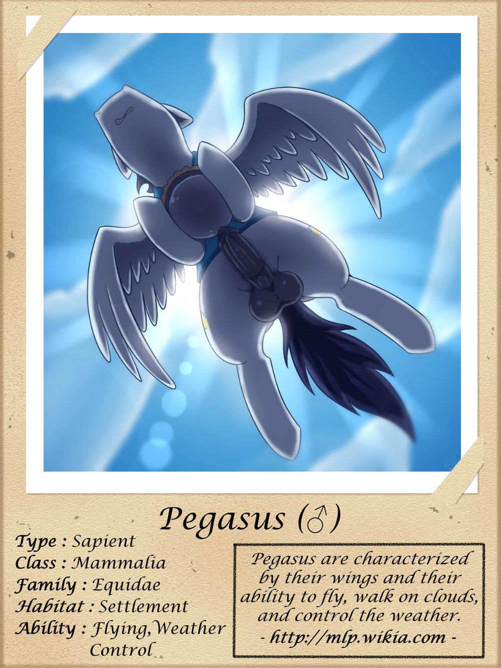 Rule 34 – 2019 animal genitalia animal penis balls dessert english text equid equine equine genitalia equine penis erection feral flying food friendship is magic genitals hasbro hi res holding object lens flare low-angle view mammal medial ring my little pony pegasus penis pie quadruped soarin (mlp) solo text url vavacung wings wonderbolts (mlp) worm’s-eye view | 8029180
