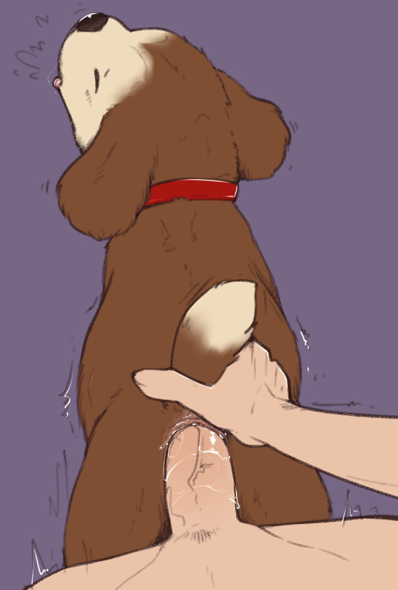 Rule 34 – anal anal sex anus brandy (hamtaro) canid canine canis doggy style domestic dog duo female female on human female penetrated feral feral penetrated first person view from behind position hamtaro (series) hi res human human on feral human penetrating human penetrating female human penetrating feral human pov interspecies larger human larger male looking pleasured male male/female male on feral male penetrating male penetrating female male penetrating feral male pov mammal penetrating pov penetration penile penile penetration penis in ass sex simple background size difference smaller female smaller feral smaller penetrated vandalistpikachu zoophilia | 8337870