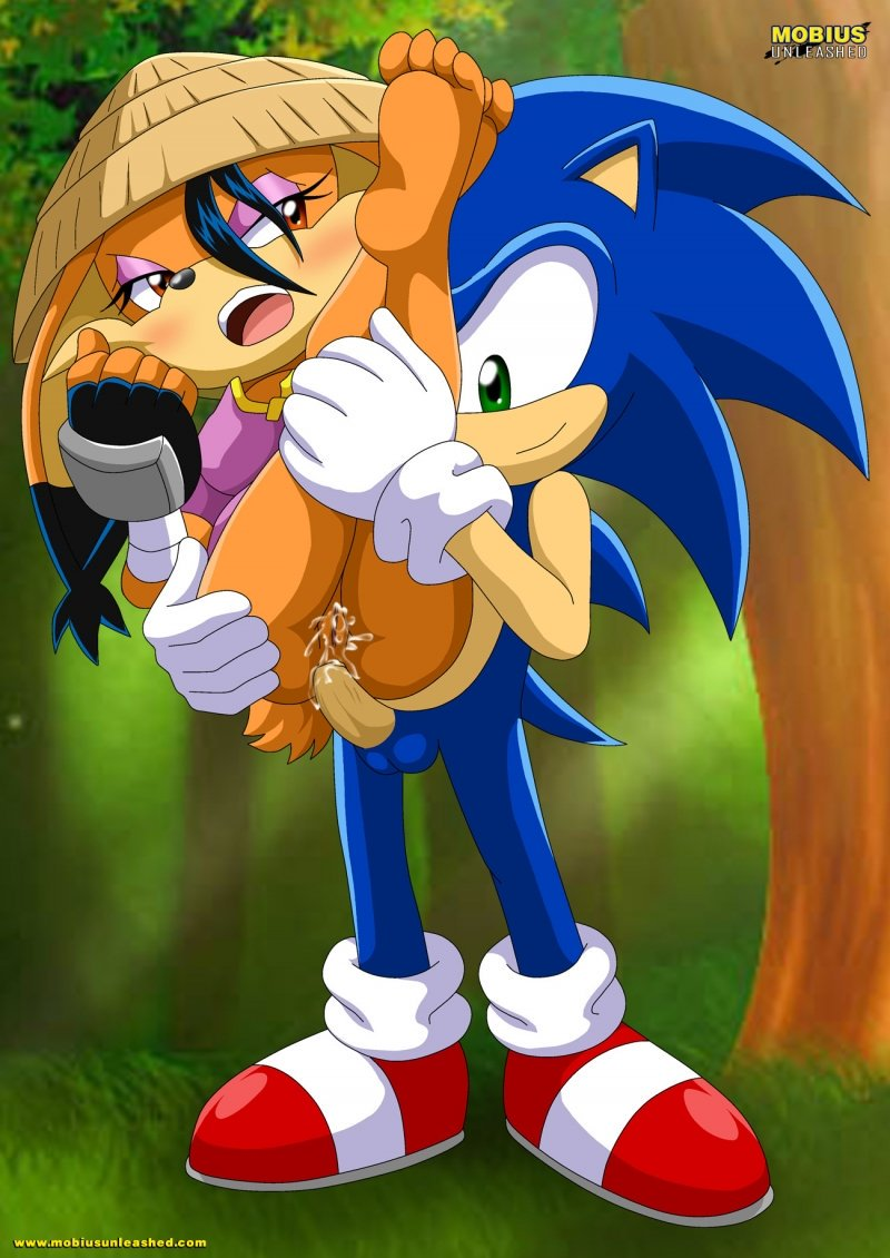 Rule 34 - 1boy1girl Anal Anal Sex Bbmbbf Conquering Storm Cum Inside Forest  Furry Furry Only Held Up Mobius Unleashed Outdoor Sex Outdoors Palcomix  Repost Sonic (series) Sonic The Hedgehog Sonic The