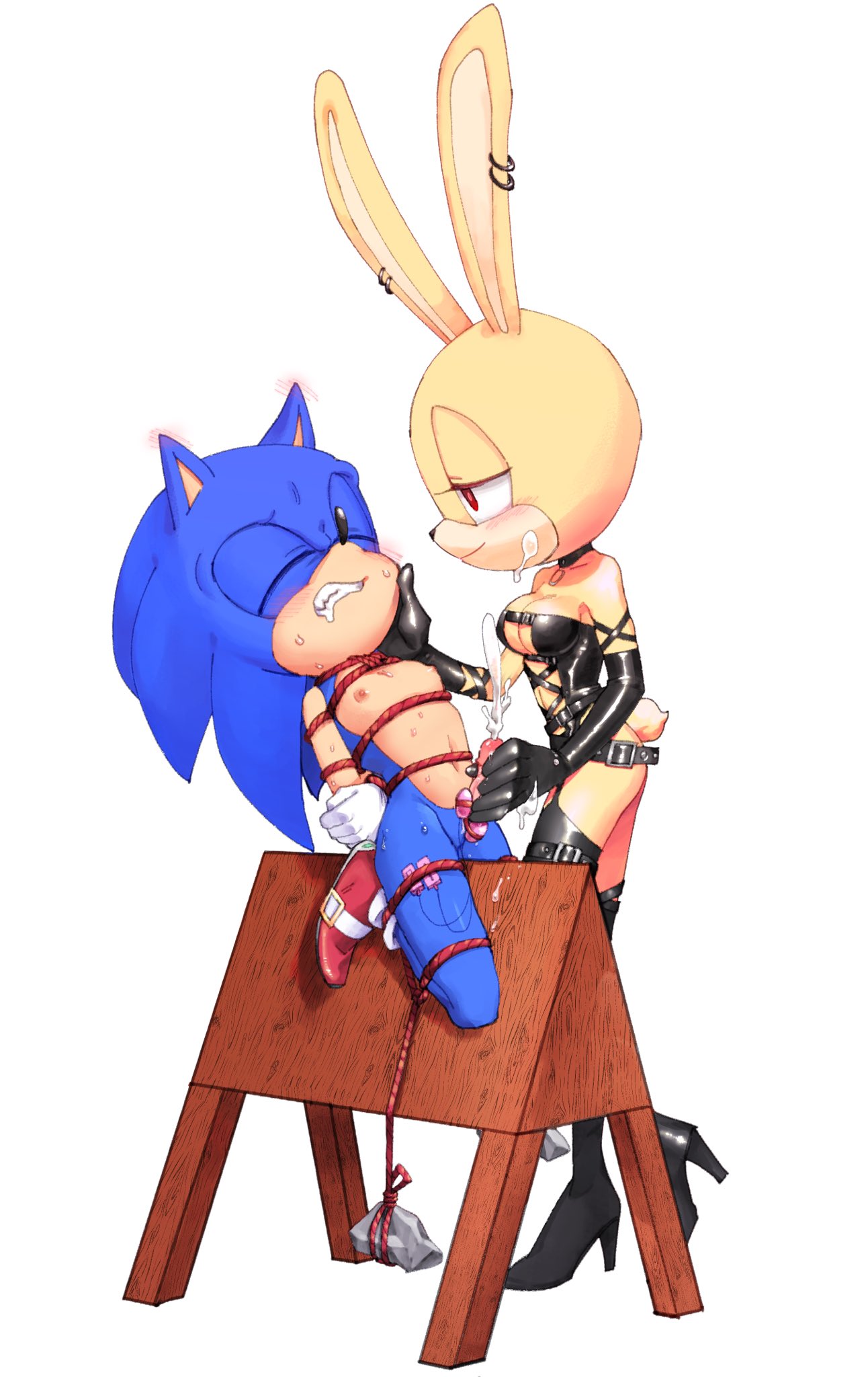 Rule 34 - Anthro Butterfly The Rabbit Dominatrix Ear Blush Egg Vibrator  Ejaculation Femdom Forced Orgasm Handjob Latex Original Character Sex Toy  Shibari Shiche Sonic (series) Sonic Oc Sonic The Hedgehog Vibrator