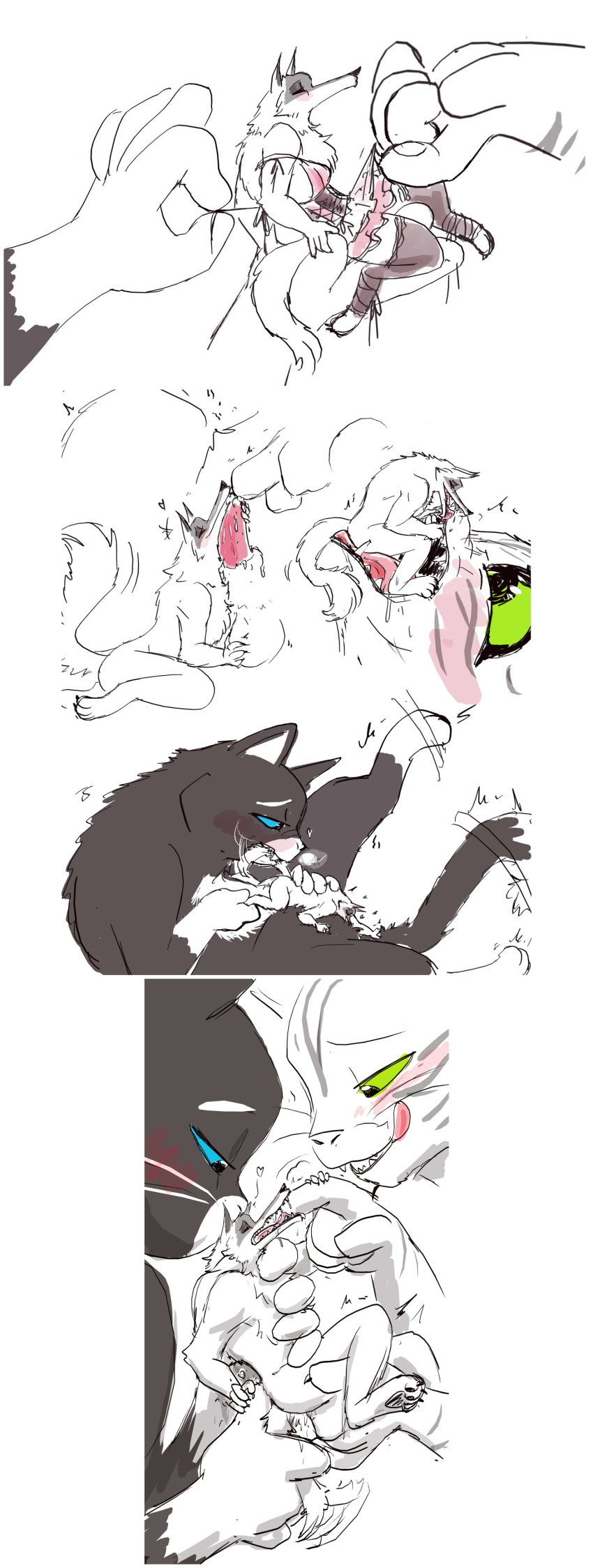 Rule 34 – absurd res anthro bisexual blue eyes blush canid canine canis clothed clothing crossdressing cunnilingus death (puss in boots) domestic cat dreamworks felid feline felis fellatio female fluffy green eyes group group sex hi res interspecies kitty softpaws lingerie male male/female male/male mammal mmf nude oral penile polyamory puss in boots (dreamworks) puss in boots (film) puss in boots the last wish red eyes sex size difference tabby cat threesome trio tuxedo cat ultimatellurker vaginal penetration wolf | 8675610