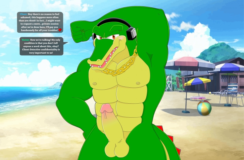 Rule 34 – abs anthro beach blush collar collar only crocodile crocodilian crocodylid embarrassed embarrassed nude male english text erection exhibitionism flaccid flashing foreskin frenulum genitals hi res male male only meteorsmash muscular muscular anthro muscular male nude penis pronounced browridge reptile scalie seaside sega smile smiling at viewer solo sonic the hedgehog (series) speech bubble text unwanted erection vector the crocodile | 8200710