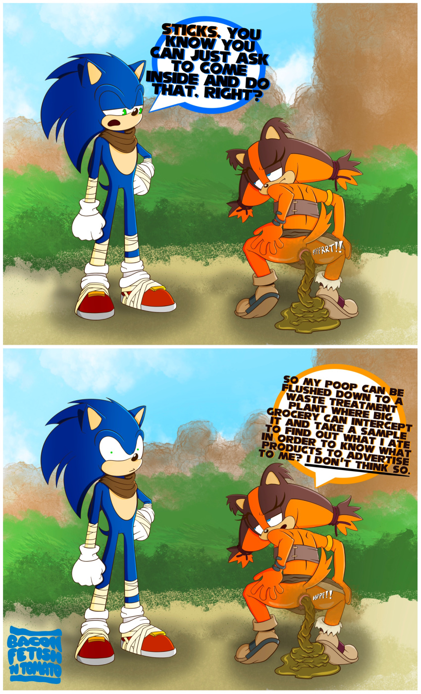Sonic Boom (game) Porn - Rule 34