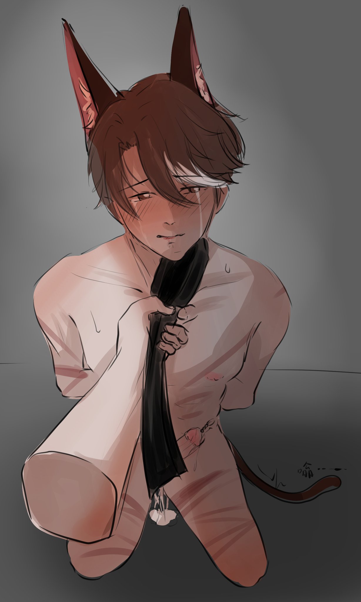 Rule 34 – 1boy belt blush brown hair cat ears cat tail crying cum on floor dick out fully naked fully nude hands behind back honkai: star rail honkai (series) looking at viewer male focus male only naked on floor pov tagme tail welt yang (honkai: star rail) welts | 8715072