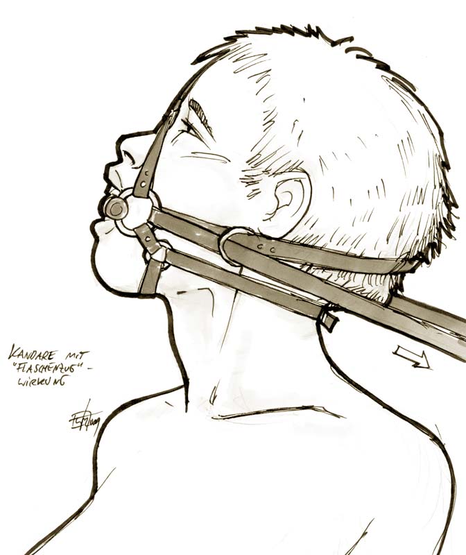 Rule 34 – 1female 2009 bit gag bridle design headgear reins short hair the veterinarian topless female tutorial | 8851290