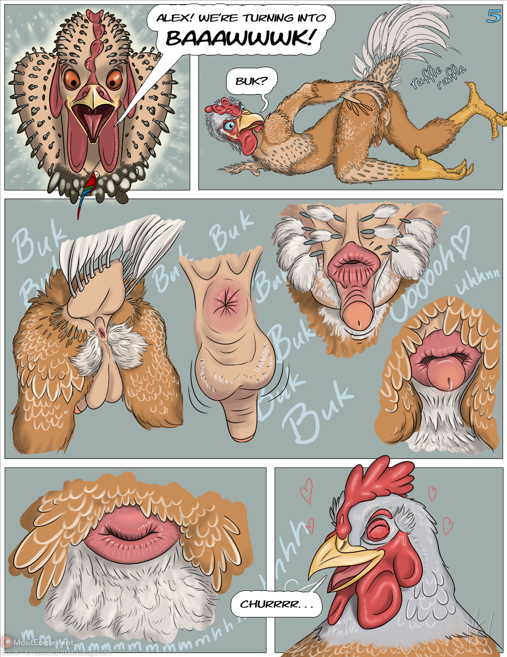 Rule 34 - Animal Genitalia Avian Avian Caruncle Avian Feet Beak Beak Growth  Bird Chicken Cloaca Comb (anatomy) Duo English Text Feather Growth Feathers  Feral Galliform Gallus (genus) Gender Transformation Genitals Growth