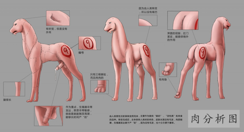 Rule 34 – 3 toes animal humanoid ball gag balls bodily fluids cum cum drip diagram dipingxiangtr.d dripping erection explanation feet feral gag genetic engineering genital fluids genitals humanoid humanoid genitalia humanoid penis livestock male model sheet number pawpads penis sex slave slave solo species transformation text toes transformation translation check translation request what what has science done | 7939825