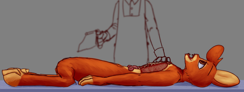 Rule 34 – anthro autopsy bone clothing corpse death depsu examination gore guts hi res male medical instrument organs scientific instrument simple background solo surgical instrument uniform usagi (depsu) | 8769802