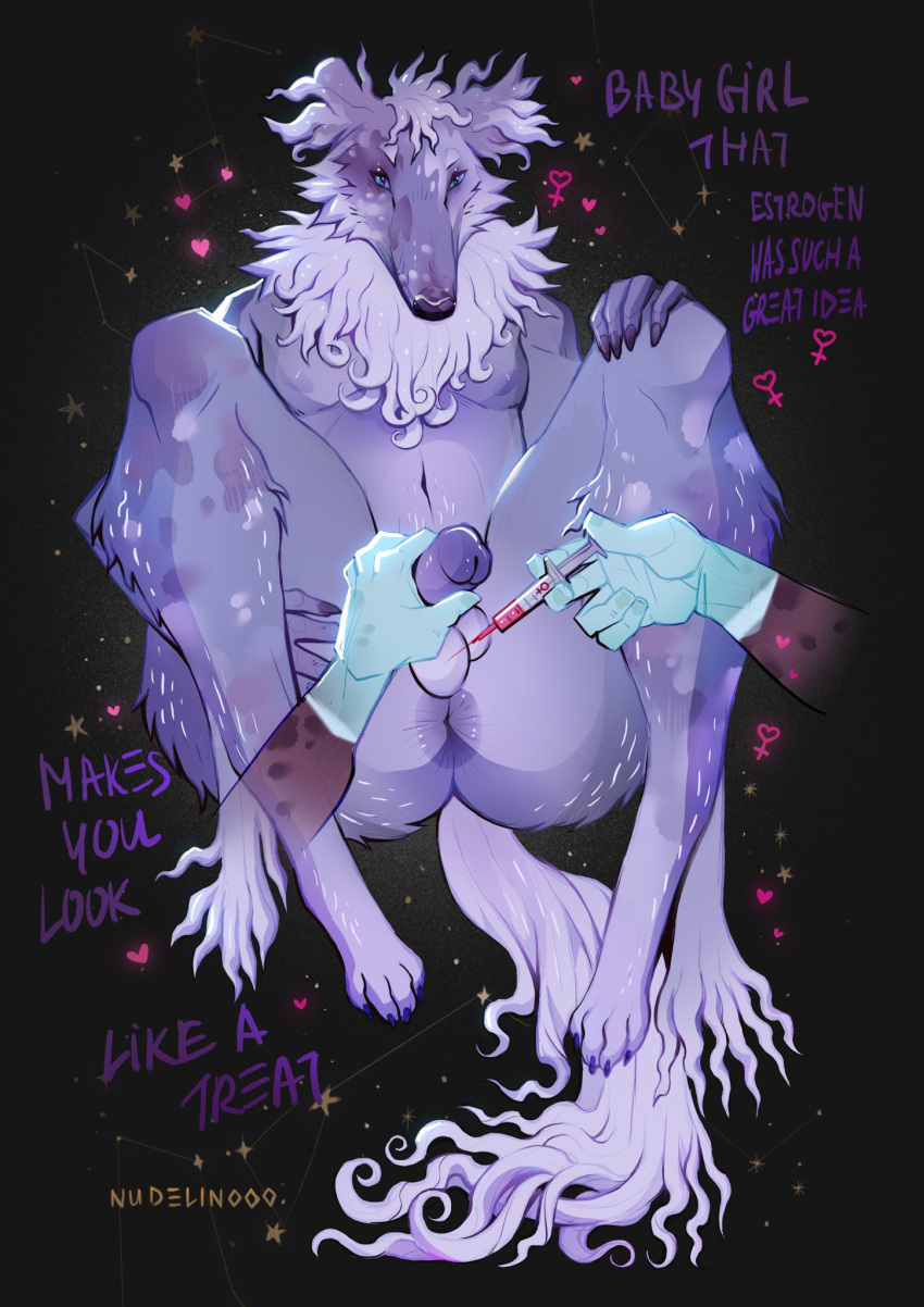 Rule 34 – 2023 abstract background anthro artist name balls blue eyes borzoi canid canine canis clothing digital media (artwork) domestic dog english text estrogen female symbol full-length portrait fur gender symbol gender transformation genitals glans gloves handwear hi res hindpaw humanoid genitalia humanoid hands humanoid penis hunting dog male mammal mottled mottled body mottled fur neck tuft nipples nudelinooo pattern background paws penis portrait purple body purple ears purple fur purple glans purple nipples purple nose purple penis sighthound simple background solo star star-shaped background surgical operation symbol syringe syringe in balls tail tail tuft text trans (lore) trans woman (lore) transformation transition translucent translucent clothing translucent gloves translucent handwear tuft | 8789696