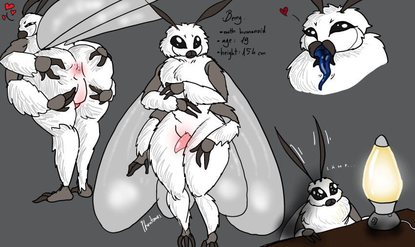 Furry Porn Animal Genitalia - Rule 34 - 1boy Animal Genitalia Antennae Anthro Anus Big Ass Black Eyes  Femboy Furry Humanoid Insect Boy Insect Humanoid Lamp Male Male Only Moth  Moth Boy Phantomas(artist) Solo White Fur Wide