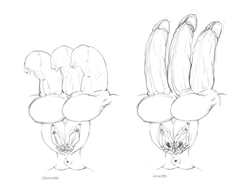 Rule 34 – 1futa anatomy anus ass balls ballsack big ass big penis commission art coronal sulcus erection foreskin foreskin folds full-package futanari fully retracted foreskin futanari humanoid humanoid penis intact long foreskin maleherm monochrome multi balls multi genitalia multi penis multi pussy multi vagina partial futa penis piercing pussy pussy piercing scrotum self upload sketch sketch page solo source request testicles triphallia uncircumcised uncut unretracted foreskin veiny penis yonsan | 6541058