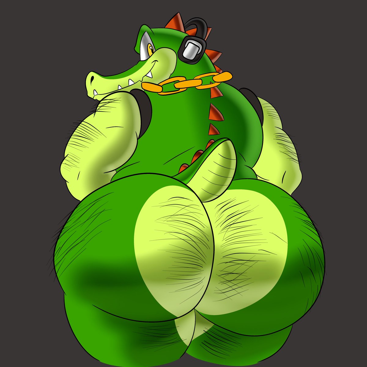 Rule 34 – 1boy 1male anthro ass ass focus big ass big butt bubble ass bubble butt crocodile hairy huge ass huge butt possbooty sega sonic (series) sonic the hedgehog (series) vector the crocodile | 8968317