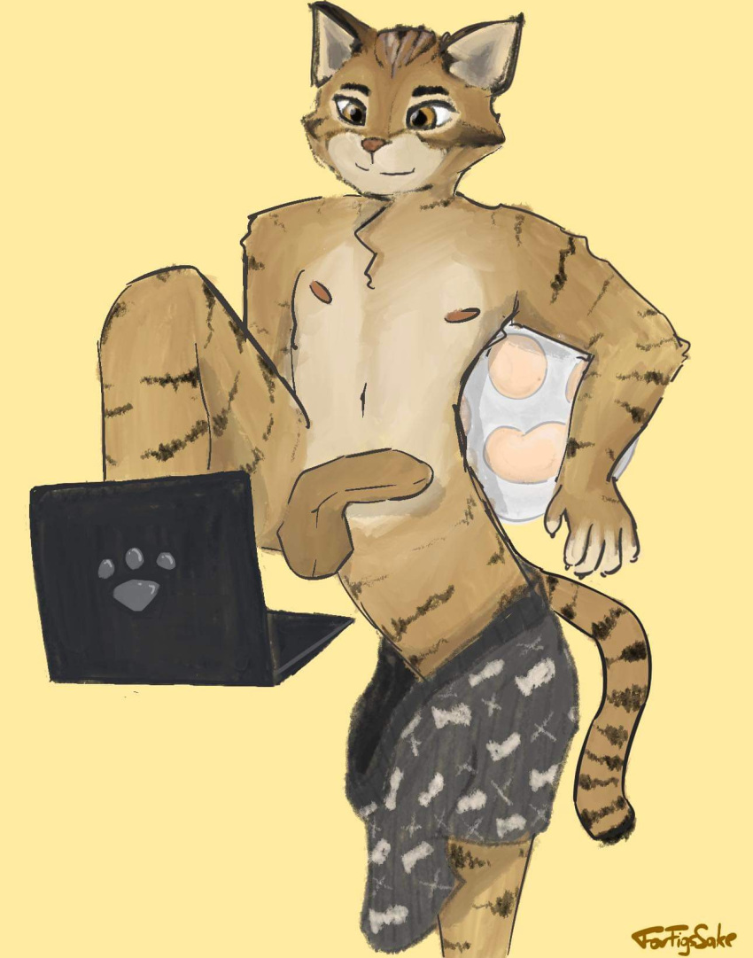 Rule 34 - Anthro Balls Chilling Clothed Clothing Computer Domestic Cat  Erection Felid Feline Felis Filip Mialczynski First Porn Of Character  Foreskin Forfigssake (artist) Front View Genitals Hi Res Home Laptop Looking