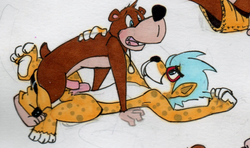 Banjo Kazooie Porn Penis - Rule 34 - 2boys Anthro Banjo-kazooie Banjo (banjo-kazooie) Bear Blue Eyes  Blue Hair Brown Fur Fan Character Furry Furry Only Gay Necklace Open Mouth  Orange Pants Original Character Pants Down Penis Sharp