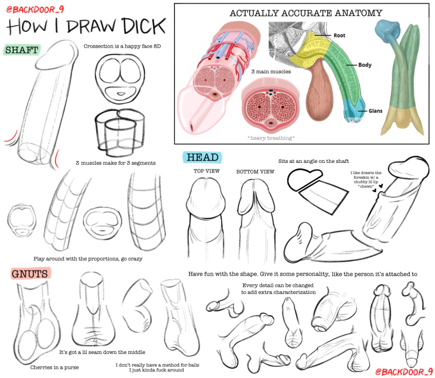 Rule 34 – anatomy reference cock dick penis tutorial | 9069490
