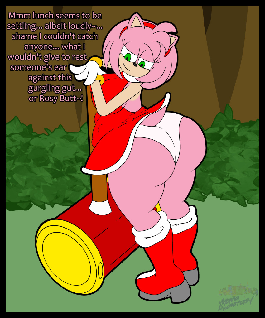 Rule 34 - 1girls Amy Rose Ass Big Ass Big Butt Bubble Ass Bubble Butt Huge  Ass Huge Butt Lewdmanaphantasy Panties Sega Sonic (series) Sonic The  Hedgehog (series) Stuffed Text Thick Thighs