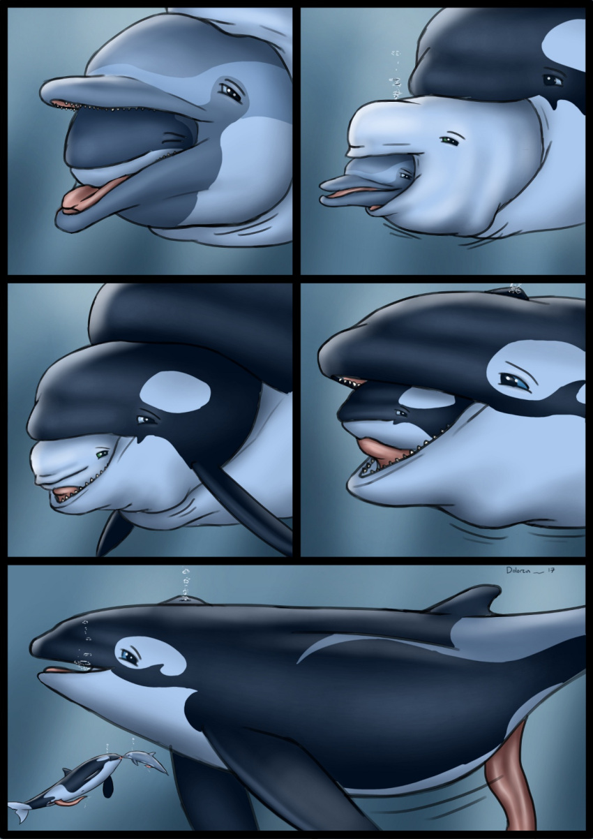 Rule 34 – 2017 almost fully inside ambiguous gender ambiguous prey animal genitalia animal penis artist name beluga bodily fluids bubble cetacean cetacean genitalia cetacean penis cheiss comic dolorcin dolphin erection feral feral pred feral prey flukes fully inside genital fluids genitals group hi res kissing larger male larger pred male male/male male pred mammal marine monodontid multiple pred multiple prey navel oceanic dolphin oral vore orca penis porpoise precum recursive vore size difference smaller ambiguous smaller male smaller prey soft vore tapering penis toothed whale underwater vore voreception water year | 9152108