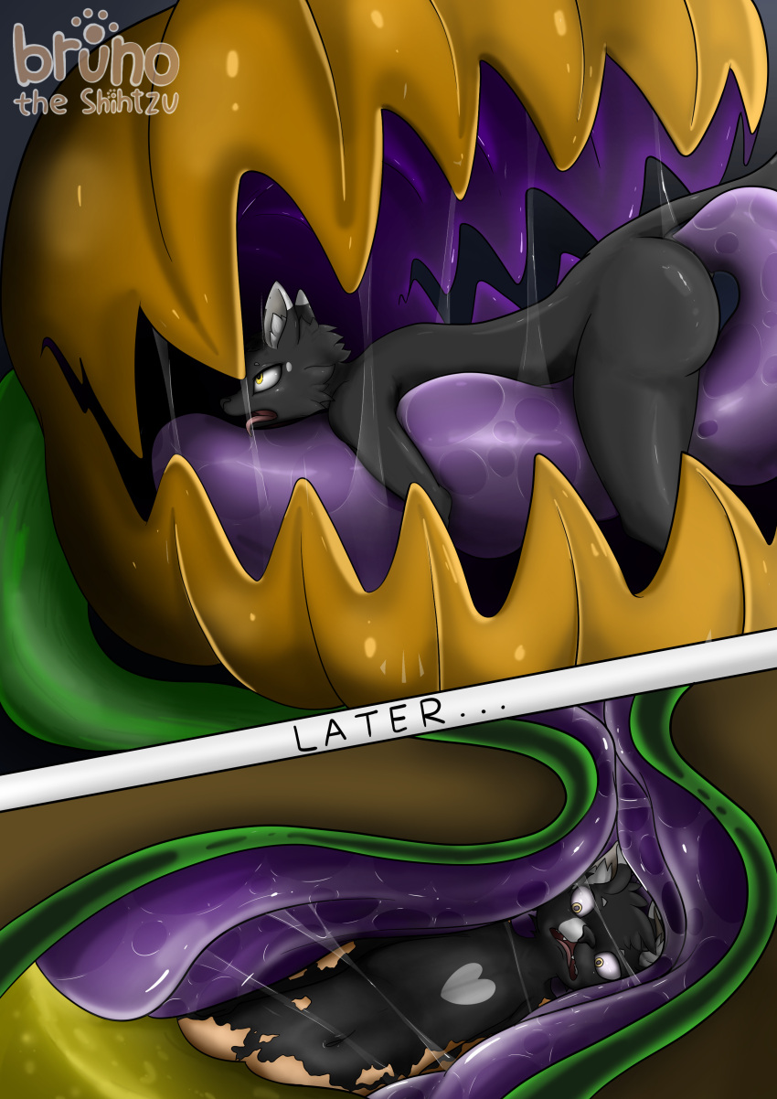 Rule 34 – absurd res acid burns anal anal tugging anthro anthro prey anus ass bodily fluids breath brunotheshihtzu deep rimming digesting prey digestion domestic cat felid feline felis food fruit heart heart (marking) hi res hugging tongue imminent death imminent digestion imminent vore large tongue long tongue looking pleasured lying male male prey mammal niko (marley n friends) on front on tongue open mouth oral organs panicked look panting plant plant monster plant pred plant vore pumpkin purple insides rimming rising acid saliva saliva on tongue saliva string scared sex short story solo stomach stomach acid story story in description tongue tuxedo cat vore voretober worried worried face worried look | 9166800