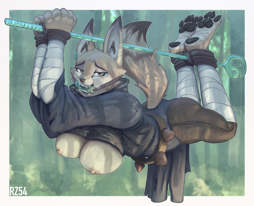 Rule 34 – 4 toes anthro barefoot bodily fluids bondage bondage bound breasts canid canine captured countershade feet countershading dreamworks fantasy feet female foot focus fox gag hi res kung fu panda looking at viewer mammal plantigrade restraints rope rz54 saliva soles solo submissive submissive female suspension sweat toe restraints toes toes tied zhen (kung fu panda) | 9225560