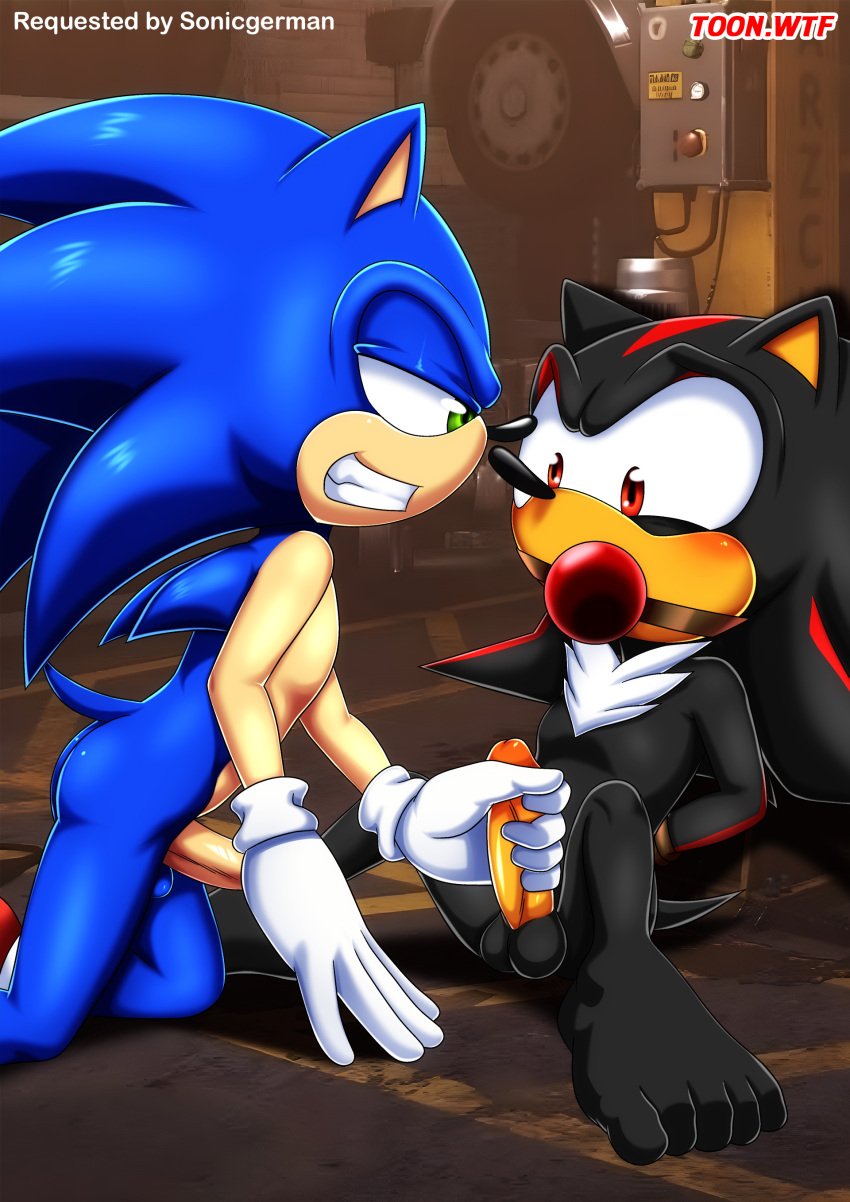 Rule 34 - 2boys Anthro Ass Ball Gag Balls Bbmbbf Blush Bondage Gay Handjob  Male Male/male Male Only Masturbation Mobius Unleashed Palcomix Penis Rope  Rope Bondage Sega Shadow The Hedgehog Sonic (series)