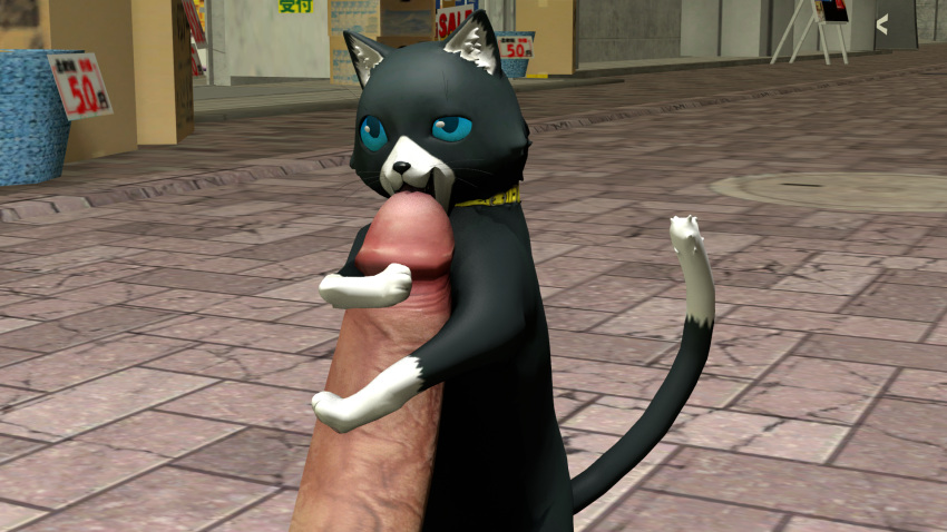 Rule 34 – 3d (artwork) 3d background atlus blue eyes collar digital media (artwork) domestic cat duo felid feline felis feral gemini at night genitals hi res human licking licking tip male male/male mammal megami tensei megami tensei persona morgana (persona) oral penile penis penis lick penis on face public public sex sega sex solo focus source filmmaker tongue tongue out tuxedo cat zoophilia | 9344936