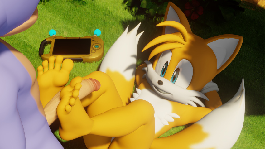 Rule 34 – 3d (artwork) 5 toes anthro canid canine delicious feet delicious soles digital media (artwork) duo feet foot fetish foot focus foot play footjob fox fuckboy gay genitals hands behind head hi res humanoid feet legs up lying male male/male mammal on back penis plantigrade sega sex sonic the hedgehog (series) tails tasty feet tasty soles toes twintails3d | 9483404