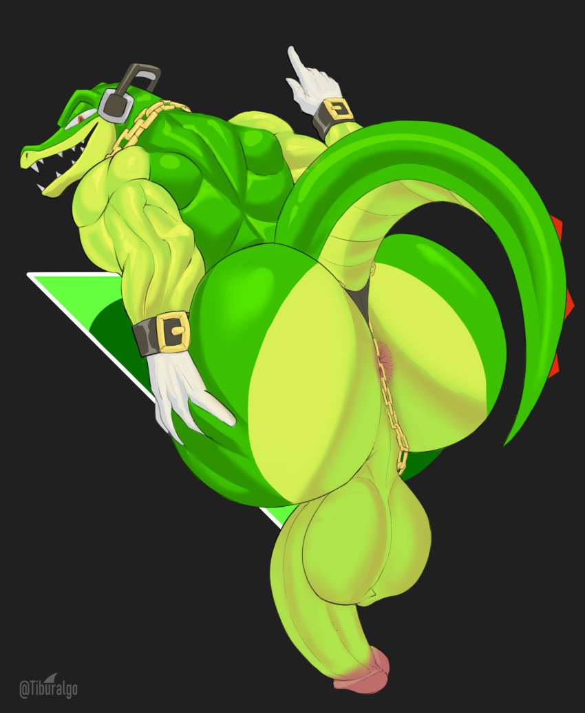 Rule 34 – anthro anus ass balls big balls big butt big penis clothing crocodile crocodilian crocodylid genitals gloves handwear hi res huge butt humanoid looking at viewer looking back male muscular muscular anthro muscular male penis reptile scalie sega solo sonic the hedgehog (series) tail tiburalgo vector the crocodile | 10387294