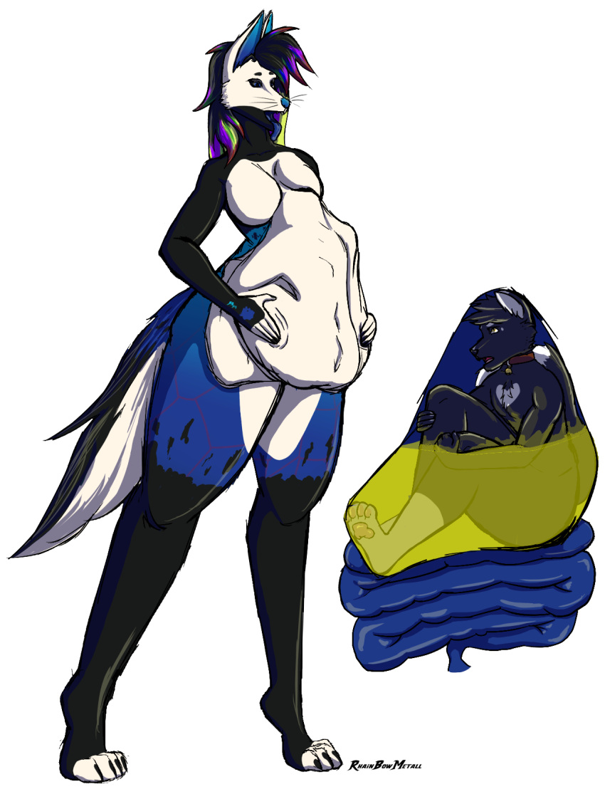 Rule 34 – acid alpha channel anthro anthro pred anthro prey bell bell collar belly fondling belly rub bloated blue internal blue stomach bodily fluids body outline breasts bulge collar cramped domestic cat duo featureless breasts felid feline felis female female anthro female pred fur glistening guts hair heart (marking) hi res holding belly holding stomach imminent death imminent digestion inside stomach internal internal vore intestines larger anthro larger female leg markings male male/female male anthro male prey mammal markings multicolored body multicolored fur multicolored hair multicolored tail niko (marley n friends) nude open mouth oral vore organs panicked look pawpads paws pink pawpads predator/prey rainbow hair rexouium rhainbowmetall rising acid same size vore scared scared expression scared face sekathi (blue) simple background size difference smaller male stomach acid stomach bulge story at source tail thick thighs thigh markings tight fit tongue tongue out transparent background tuxedo cat vore whiskers | 10311511
