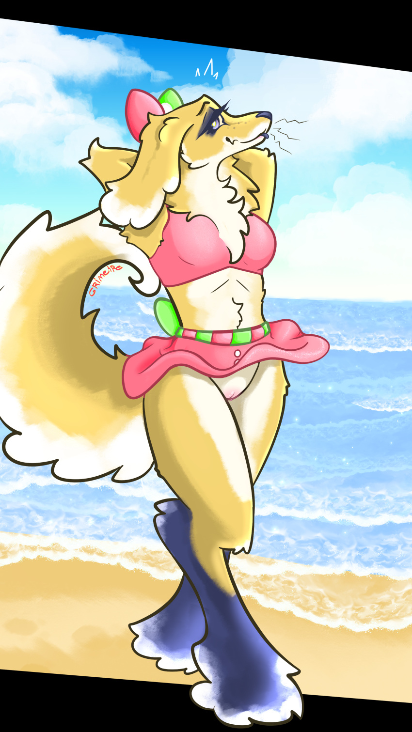 Rule 34 – absurd res accident accidental exposure anthro beach bikini bottomwear canid canine canis clitoris clothed clothing curled tail domestic dog exhibitionism female floppy ears fluffy fluffy tail flush genitals grimeire hi res looking at viewer mammal midriff neck tuft outdoor nudity outside presenting pussy raised bottomwear raised clothing raised skirt skirt solo swimwear tail tongue tongue out tuft two-piece swimsuit wind | 10802065