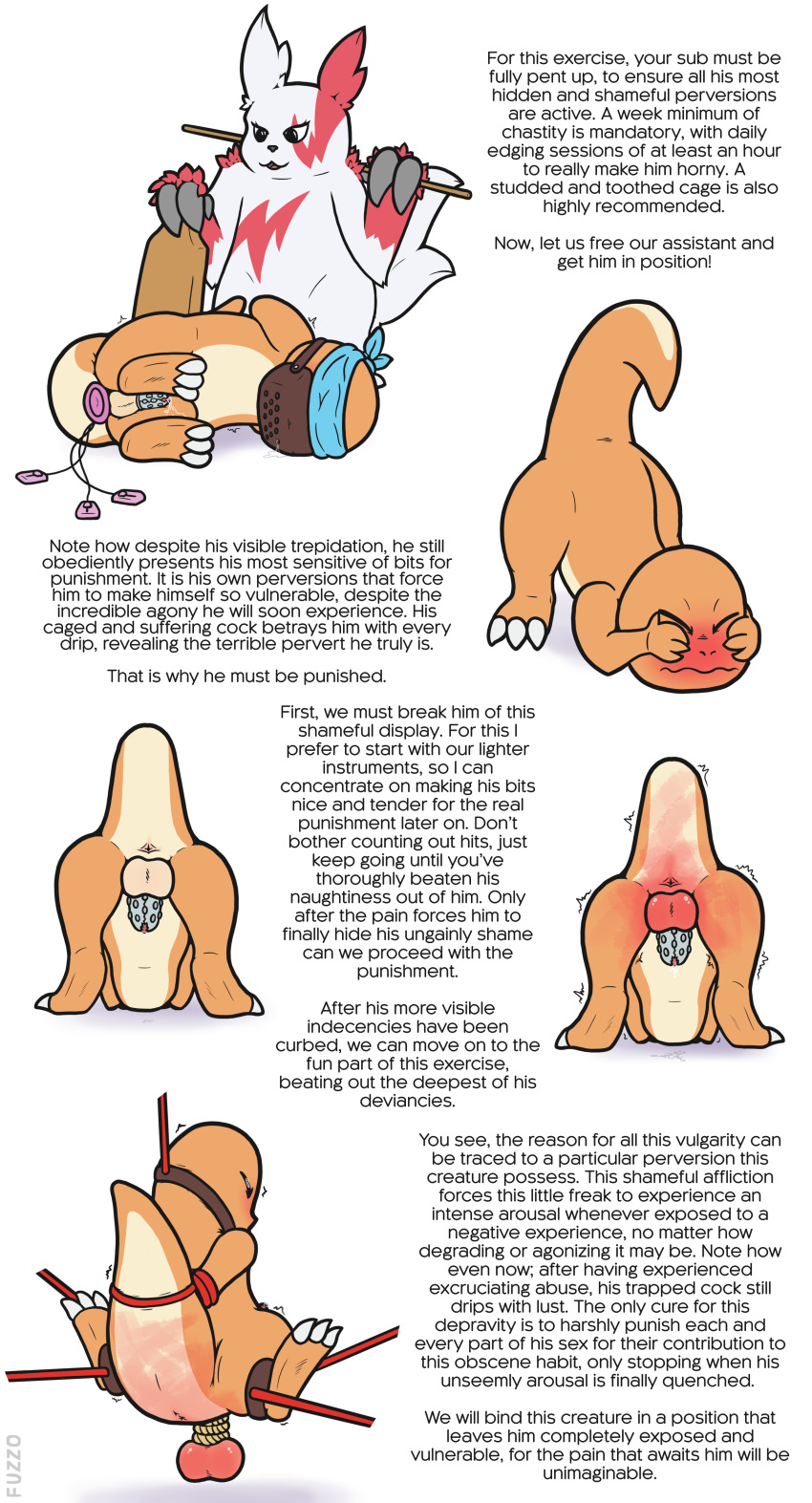 Rule 34 – absurd res anal anal sex anus artist name ass up ball rope balls blindfold blush bondage bondage bound charmander chastity cage chastity device cock and ball torture duo english text feral fuzzo generation 1 pokemon generation 3 pokemon genital rope genital torture genitals hands behind back hi res male male/male muzzle (object) muzzled nintendo nude object in ass paddle penetration penis pokemon pokemon (species) raised tail rod rope rope around balls sex toy sex toy in ass sex toy insertion spank marks suspension suspension bondage tail text torture vibrator vibrator in ass zangoose | 10794530