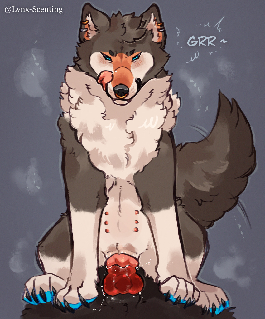 Rule 34 – 6 nipples alex (alexwerewolf ad) animal genitalia animal penis animal pussy canid canine canine genitalia canine penis canine pussy canis cowgirl position dominant dominant female dominant feral duo ear piercing facial piercing female feral first person view fluffy fluffy chest fluffy tail from front position genitals hi res knot knot fucking knotted penis licking licking lips lynx scenting male male/female mammal multi nipple nipples nose piercing nose ring on bottom on top penetration penile penile penetration penis piercing pussy ring piercing septum piercing sex tail tongue tummy nipples vaginal penetration vaginal penetration vaginal tugging wolf | 10630448