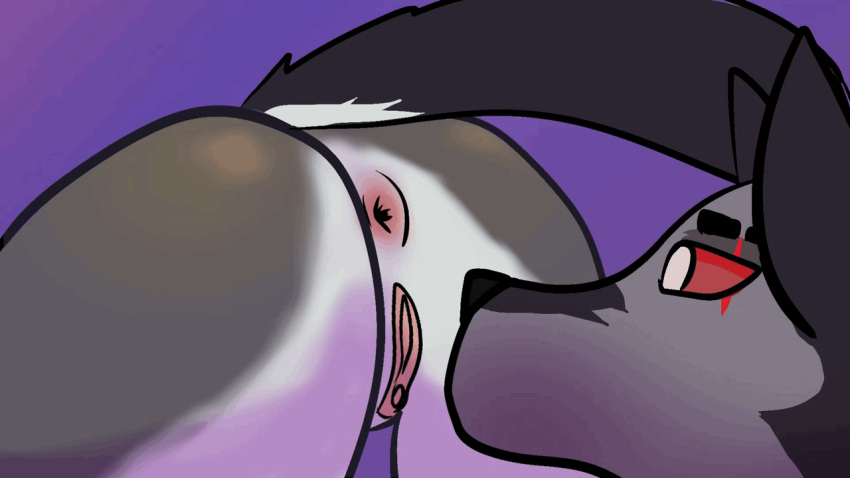 Rule 34 – anglestouge animated anthro canid canid demon canine cunnilingus demon duo female hellhound helluva boss loona (helluva boss) male male/female mammal mythological canine mythological creature mythology oral sex vaginal penetration vortex (helluva boss) | 10684441