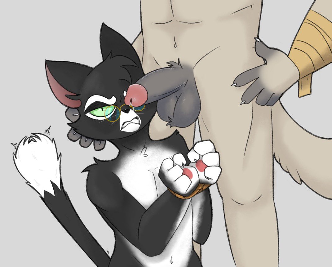 Rule 34 – angry anthro black fur dlukwi56 erection feline gay glasses lackadaisy male/male mammal mordecai heller nicodeme savoy penis precum tied tied hands tuxedo cat white fur yaoi | 10931139