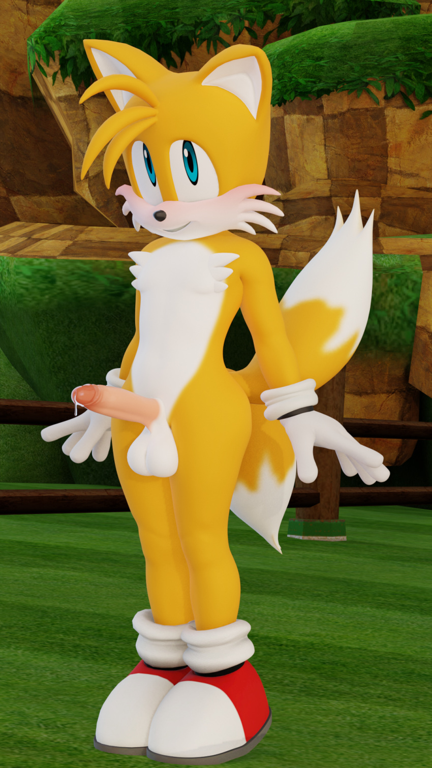 Rule 34 – 3d (artwork) anthro balls blush bodily fluids canid canine clothing digital media (artwork) footwear footwear only fox fur genital fluids genitals hi res looking at viewer male mammal mostly nude nude penis precum sega shoes shoes only shy solo sonic the hedgehog (series) standing tails twintails3d white body white fur yellow body yellow fur | 10972503