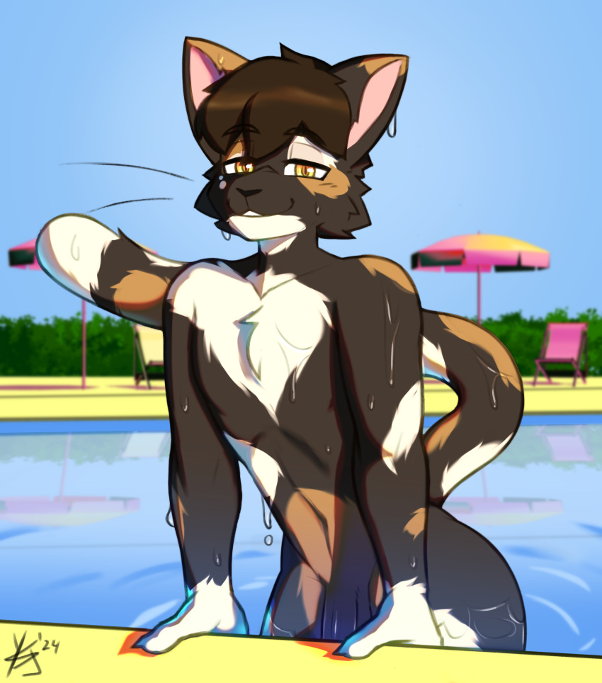 Rule 34 – absurd res anthro domestic cat felid feline felis flaccid genitals hair hi res looking at viewer male male only mammal nude outside penis pool smile solo swimming pool tail tortoiseshell cat water wet yukein | 11002706