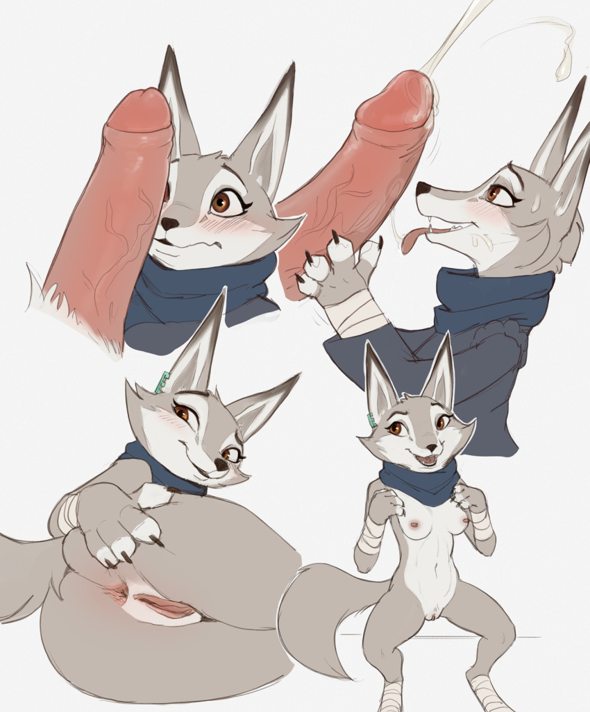 Rule 34 – 2024 4 fingers anthro anus ass bandage blush bodily fluids breasts canid canine canis claws clothed clothing corsac fox cum digitigrade dreamworks duo ear piercing ejaculation fellatio female finger claws fingers fox fur genital fluids genitals grey body grey fur hand on butt handjob hi res interspecies kung fu panda lf licking looking pleasured lying male male/female mammal mostly nude nipples oral orgasm penile penis penis lick piercing presenting presenting hindquarters pussy scarf sex simple background sitting solo focus spreading tongue tongue out true fox zhen (kung fu panda) | 10987387