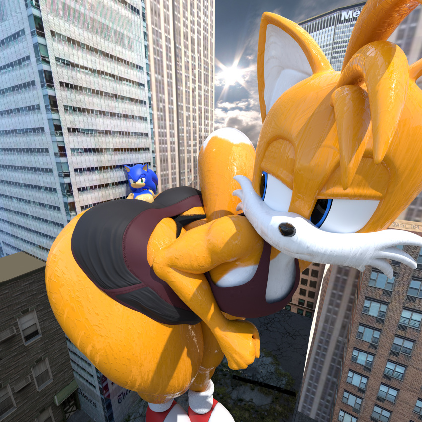 Rule 34 – absurd res adri164 ass athletic wear big butt bottomwear bubble butt canid canine city city background clothing duo embarrassed eulipotyphlan extreme size difference femboy fox gym bottomwear gym shorts hedgehog hi res huge butt looking at another macro macro anthro male mammal multicolored body sega shorts size difference sonic (series) sonic the hedgehog sonic the hedgehog (series) squish tail tail aside tails thick thighs thong thong underwear trapped trapped in butt two tone body underwear yellow body | 10932333