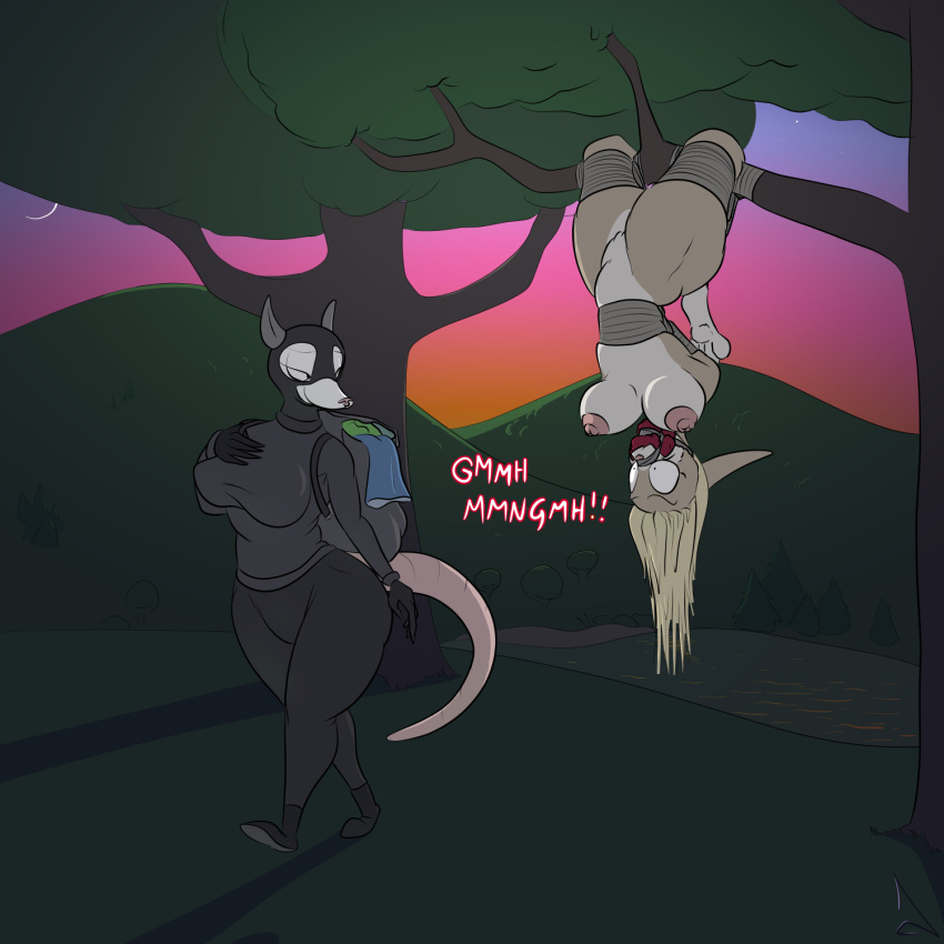 Rule 34 – 2024 american opossum anthro areola backpack balaclava biped black bottomwear black clothing black gloves black handwear black pants blonde hair bondage bottomwear bound breasts closed smile cloth gag clothed clothed/nude clothed female clothing countershade face countershade torso countershading digitigrade duo female gag gagged gloves grey body hair hands behind back hands tied handwear hanging from branch hi res lagomorph legs tied leporid long hair looking at another mammal marsupial mask mouth closed muffled nipples nude nude female outside pants pawpads rabbit raevild restraints rope rope bondage smile sweater thick thighs tight bottomwear tight clothing tight pants topwear upside-down walking white body white countershading | 11752178