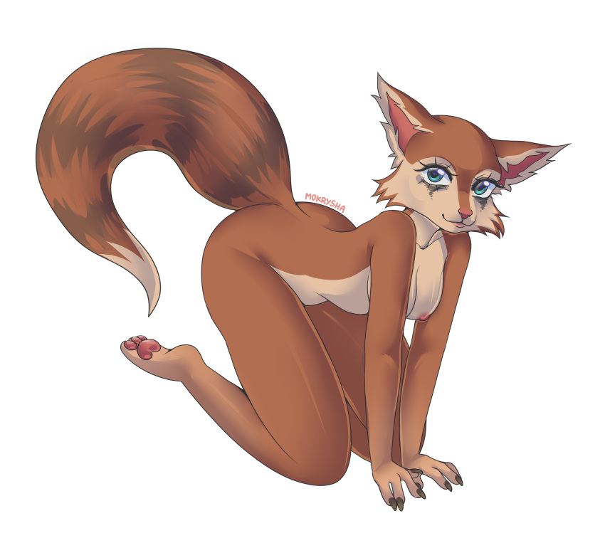Rule 34 – absurd res all fours anthro areola ass biped blue eyes breasts brown body brown fur cheek tuft claws collarbone countershade face countershade neck countershade torso countershading dipstick tail dota ears up eyelashes facial tuft female female anthro fingers fur hi res hoodwink (dota) inner ear fluff makeup mammal markings mokrysha nipples nude nude anthro nude female pawpads paws pink nose rodent running makeup sciurid solo tail tail markings tan body tan fur thighs crossed thin tail tree squirrel tuft | 11776112