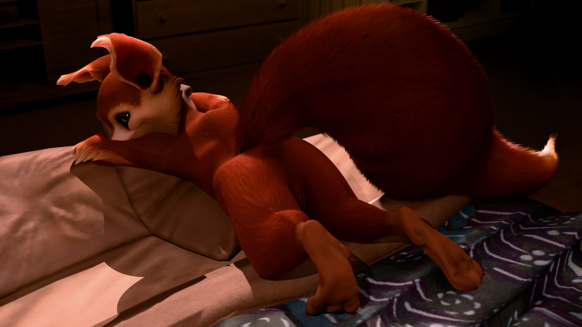 Rule 34 – absurd res anthro anus ass bed bedroom eyes dota female fur furniture genitals hi res hoodwink (dota) hug huge filesize hugging object hugging pillow looking back mammal narrowed eyes nude nude anthro nude female pillow rodent sciurid seductive solo tail tree squirrel tumbunski valve | 11636960