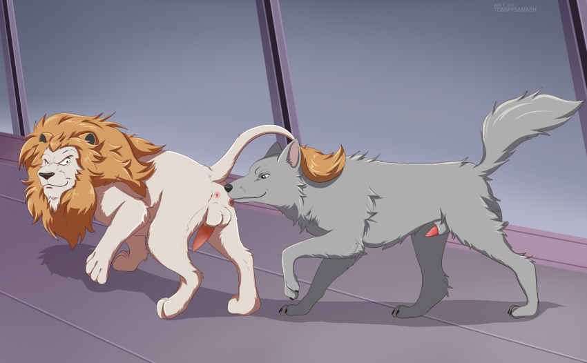 Rule 34 – anal anime style anus beast wars ii butt sniffing canid canine canis duo erection felid feral flirting genitals gesture half-erect hasbro hi res lio convoy lion male male/male mammal oral pantherine penis raised tail rimming sex sniffing spacecraft spaceship interior suggestive suggestive gesture tail takara tomy tommysamash transformers transformers: beast wars vehicle wolf wolfang (transformers) | 11688843