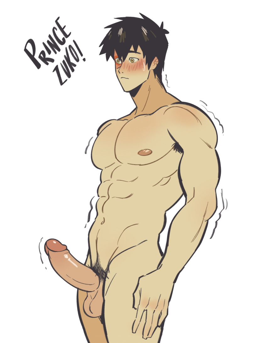 Rule 34 – abs avatar the last airbender balls bara biceps big balls big penis erection male male nipples male only manly muscular male nickelodeon nipples nude pecs penis toumaart zuko | 12232373